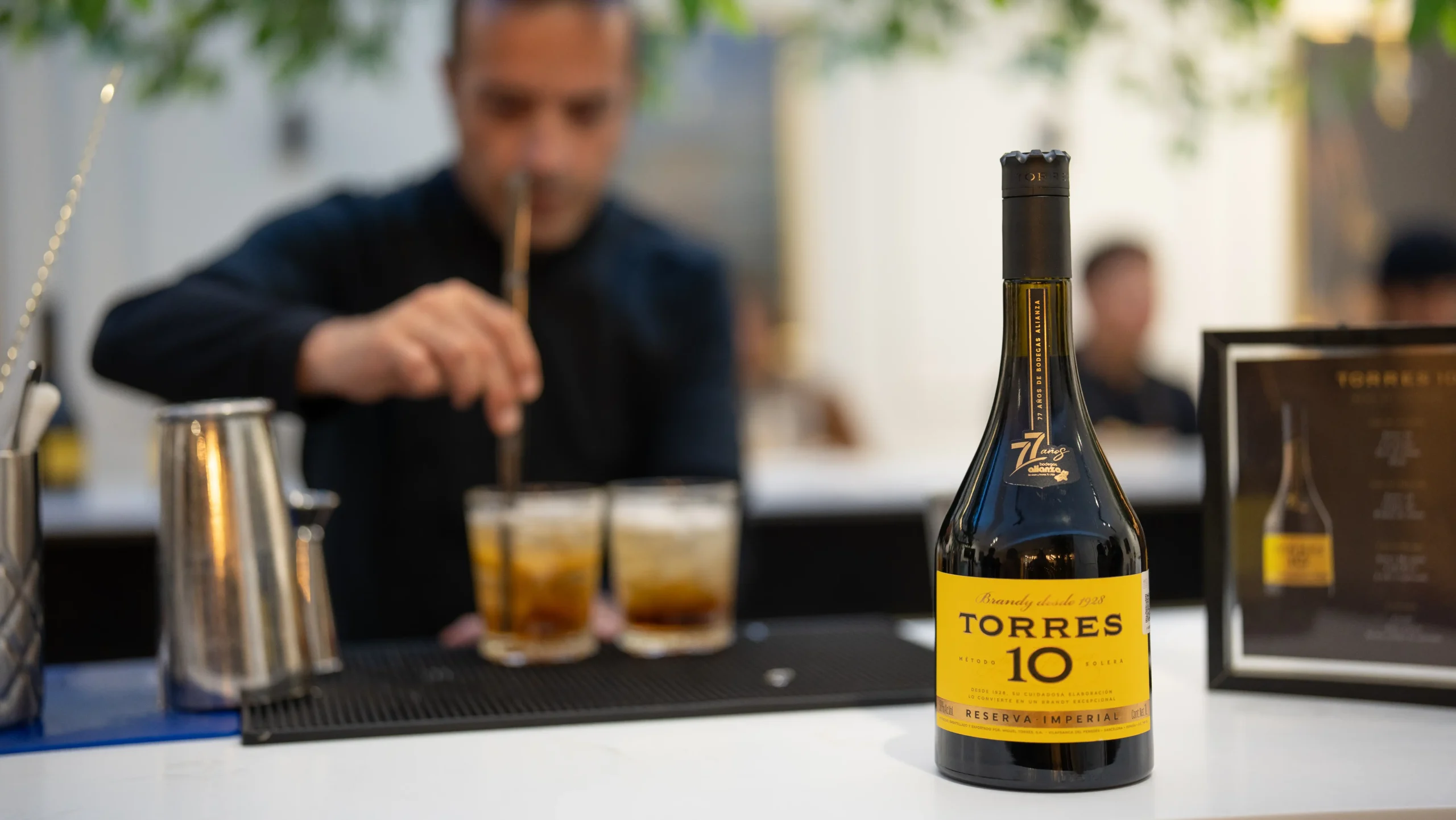 Renovarte_Magazine_Torres_10_Alianza (3)